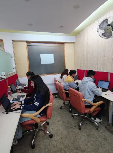 The team working at red-partition desks